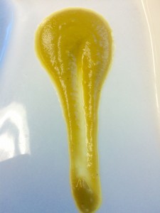 vellutata di verdure