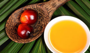 News-0511-Foto1-1160x691