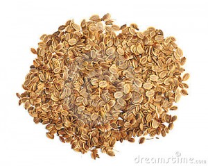 semi-di-aneto-10746682