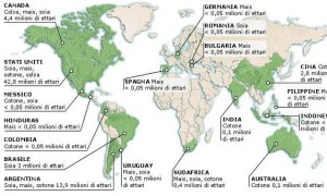 Dove-crescono-i-campi-di-mais-soia-e-cotone-ogm_h_partb