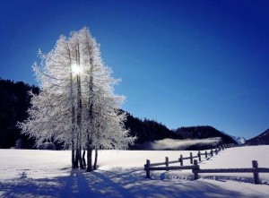 1016287_10202382295631061_515836393_n