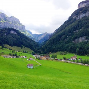 10580045_10203754249369047_9011664406042876627_n