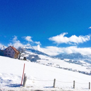 11041775_10205186667178597_3156243778618319426_n