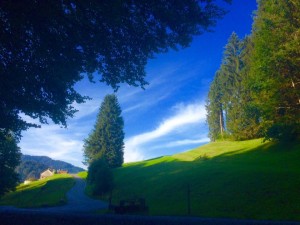 11846529_10206342315469082_7542192203085146187_n