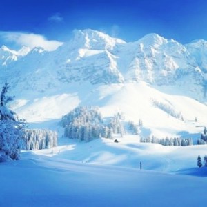 1551643_10202361132101986_252991345_n