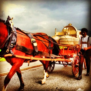 992998_10201272588409074_539341968_n