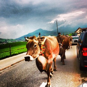 998640_10201272587089041_123555116_n